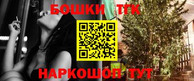 шишки Тара