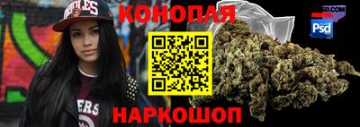 шишки Тара