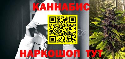 шишки Тара