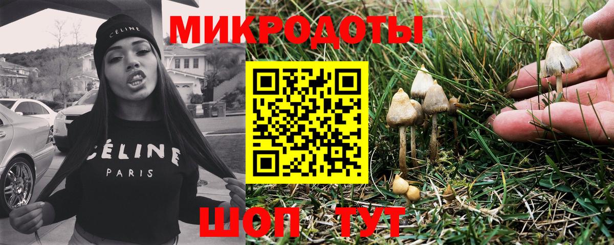 Псилоцибиновые грибы прущие грибы  Вход с VPN  Галлюциногенные грибы GOLDEN TEACHER  Благодарный 