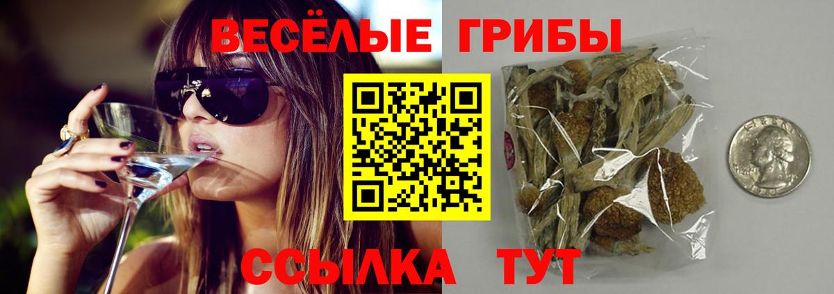 Псилоцибиновые грибы мухоморы Благодарный